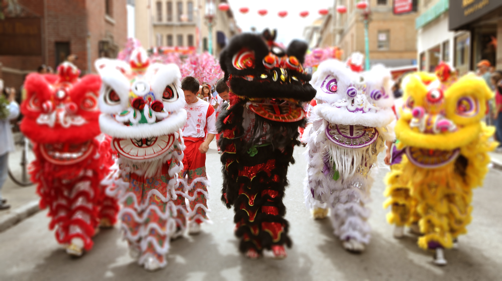 Lion dance in Singapore