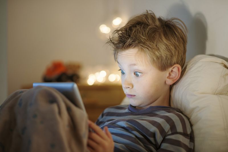 Impact of Electromagnetic fields