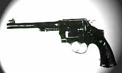 Shaheed Udham Singh's revolver