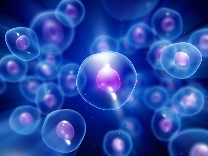 Scientists used induced pluripotent stem cells