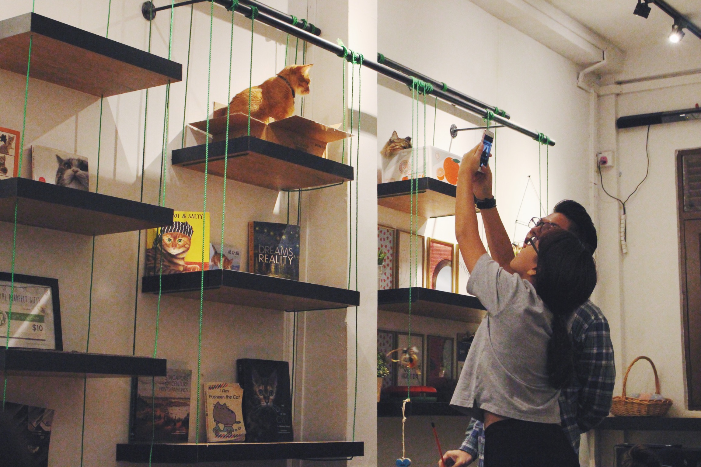 We all know how your photo galleries will look like after two hours at a cat cafe. Photo courtesy: Connected To India, overthemoosic