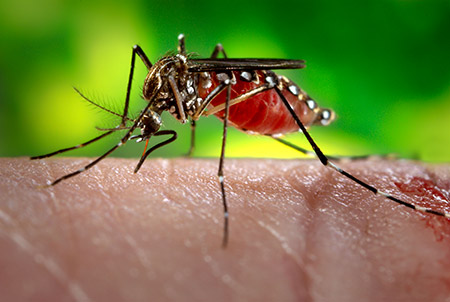 Photo courtesy: medicinenet.com
