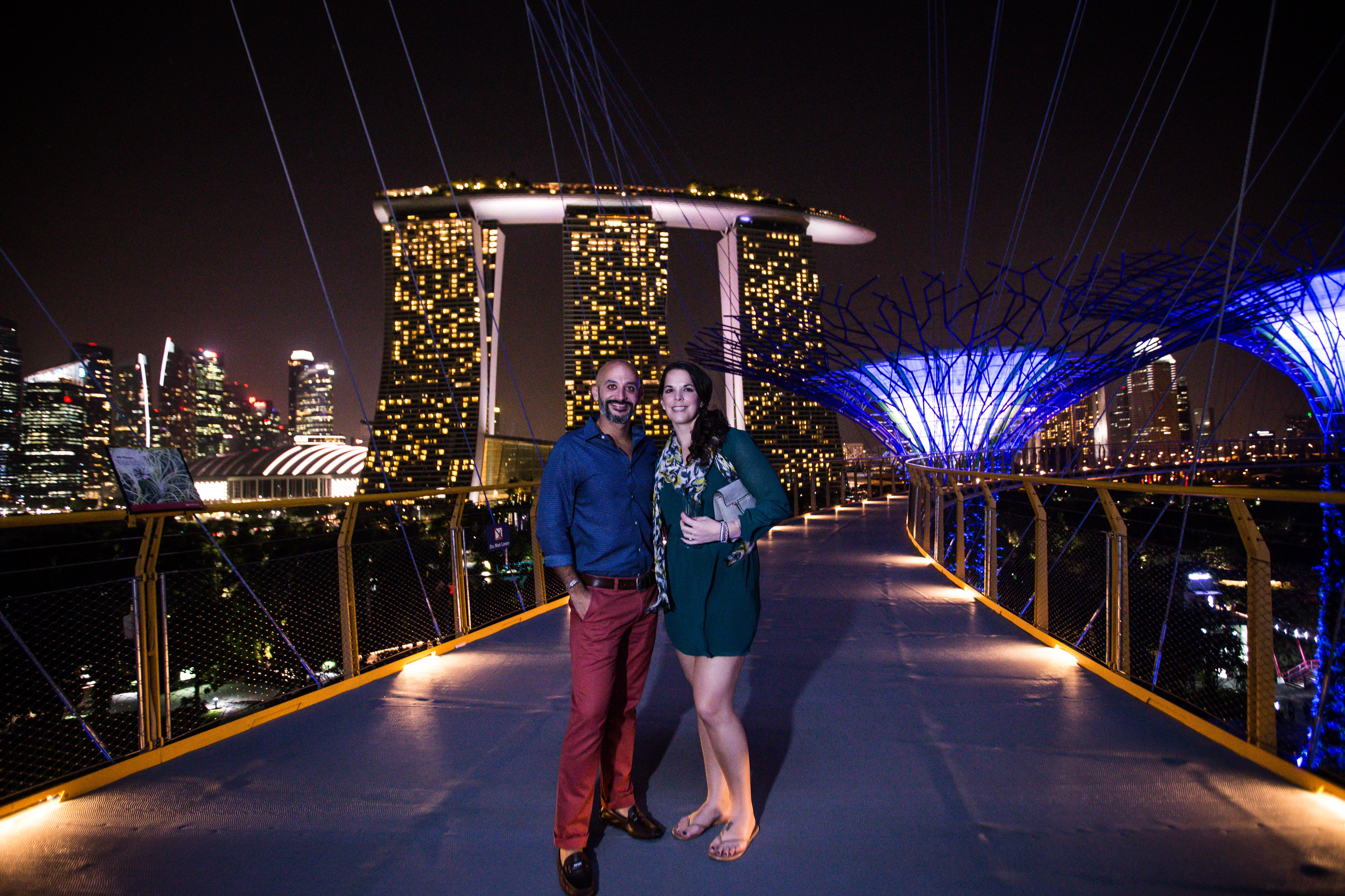 Delegates at OCBC Skyway @Gardens by the Bay. 