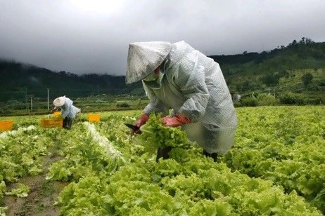In the programme, women experts will give advice on organic farming.