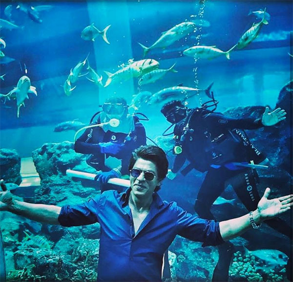 Shah Rukh Khan is seen in his signature romantic pose against the backdrop of a large aquarium