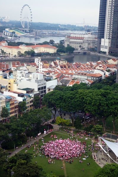 The LGBT community converging at Hong Lim Park in Singapore for the inaugural Pink Dot SG in 2009.