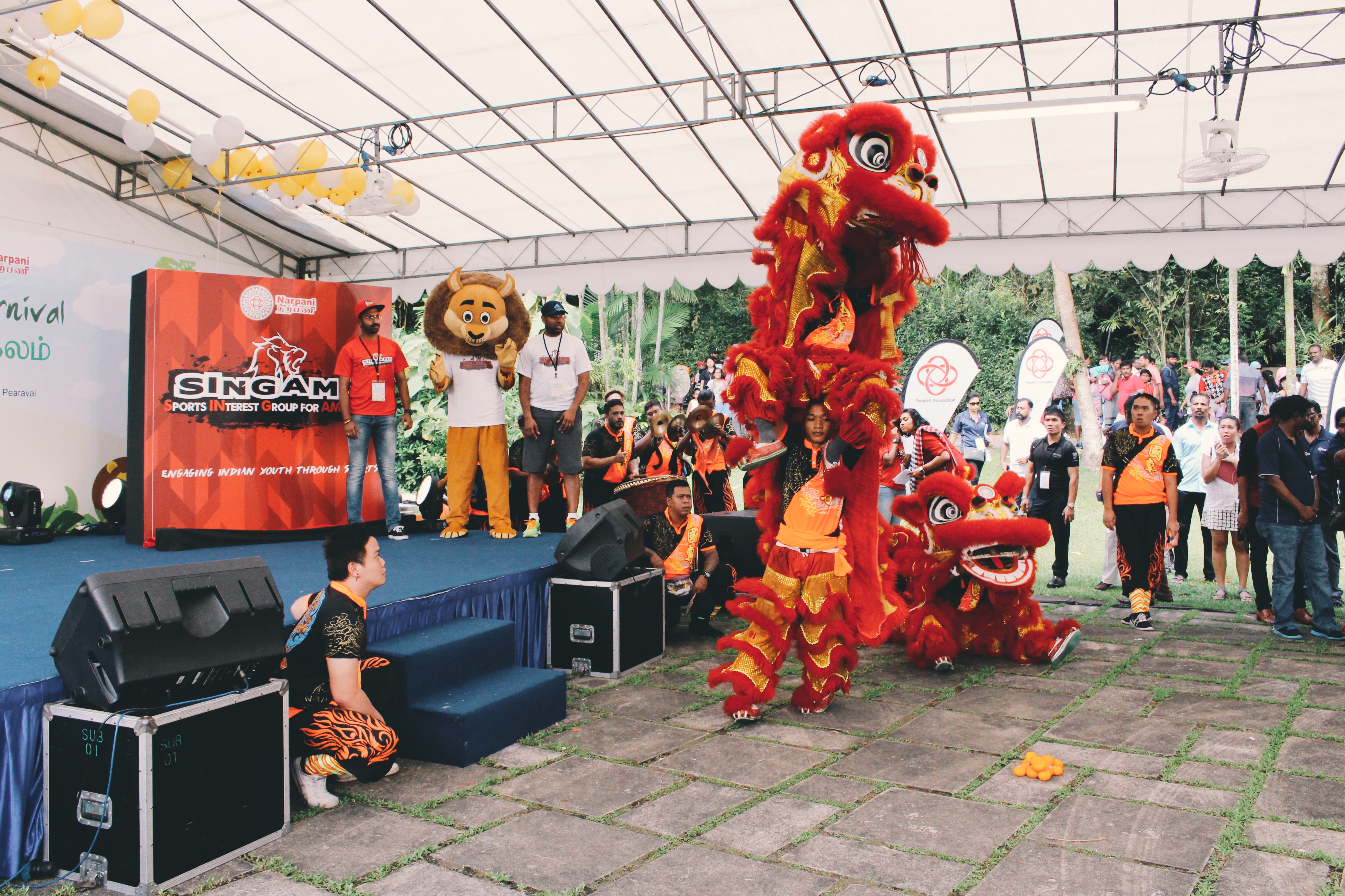 Kuo Chuan Lion Dance Troupe put up a spectacular performance at the launch of SINGAMS, which was part of the Narpani Community Carnival. Photo: Connected to India