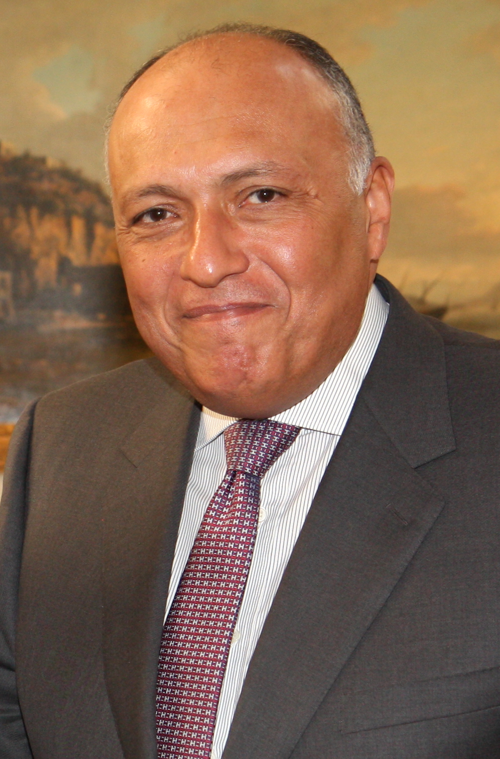 Egyptian Foreign Minister Sameh Shoukry. 