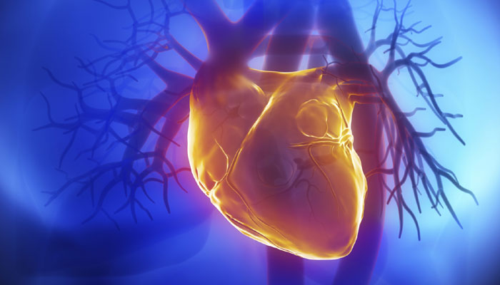 Singapore scientists discover way to ‘self-repair’ damaged heart cells