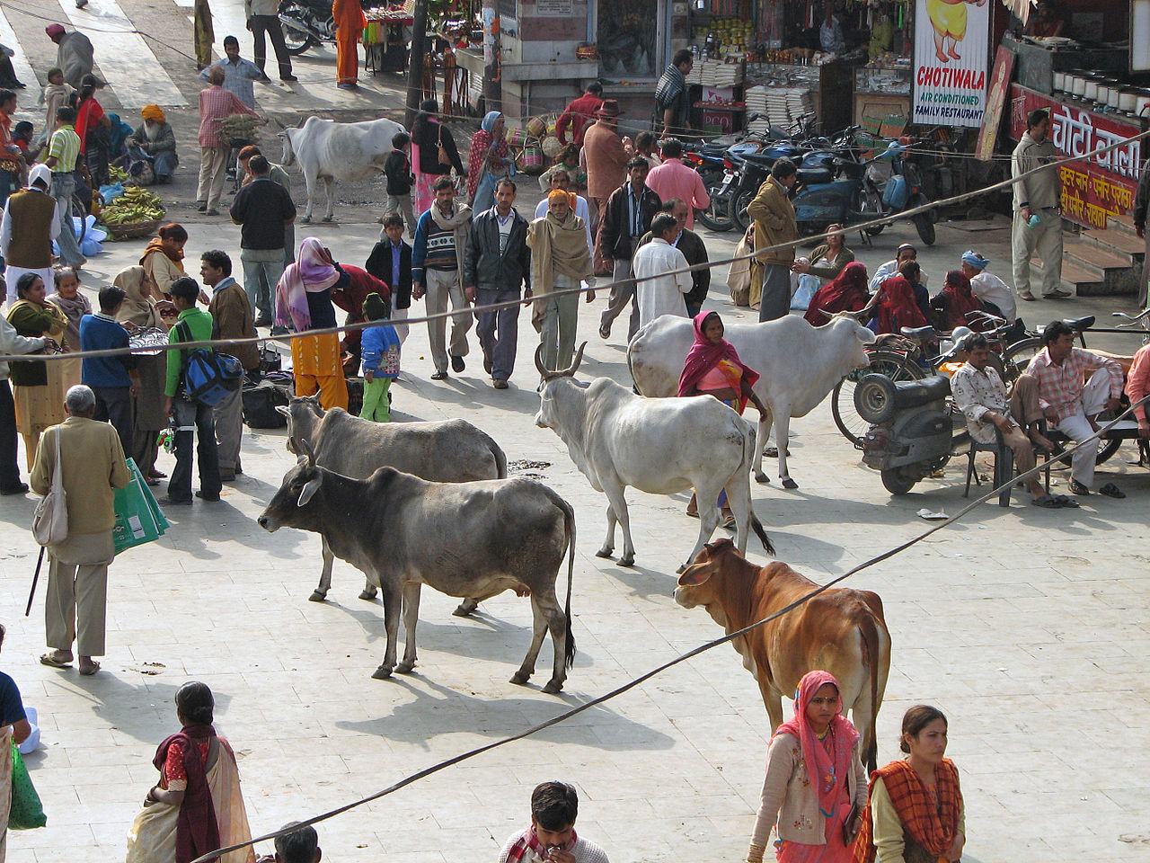 Mobs have lynched people in India for eating beef.
