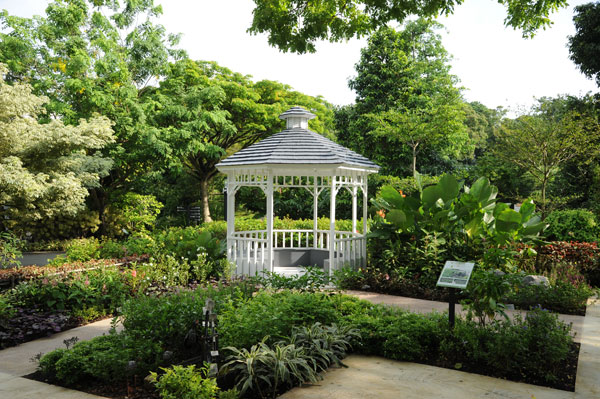 More public gardening plots will be made available for people in Singapore, 