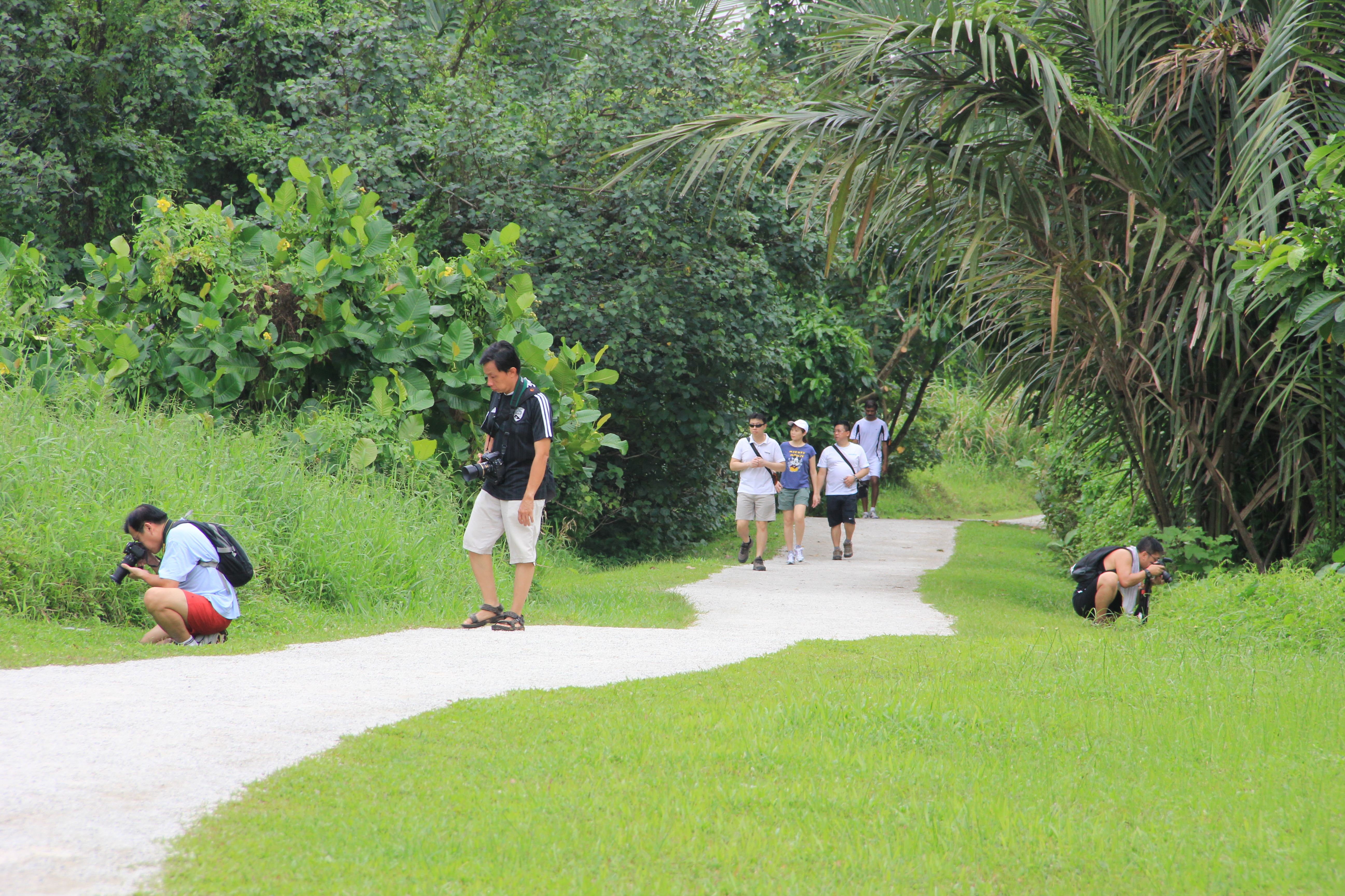 The main aim of the masterplan is to cultivate Singapore's community interest in gardening
