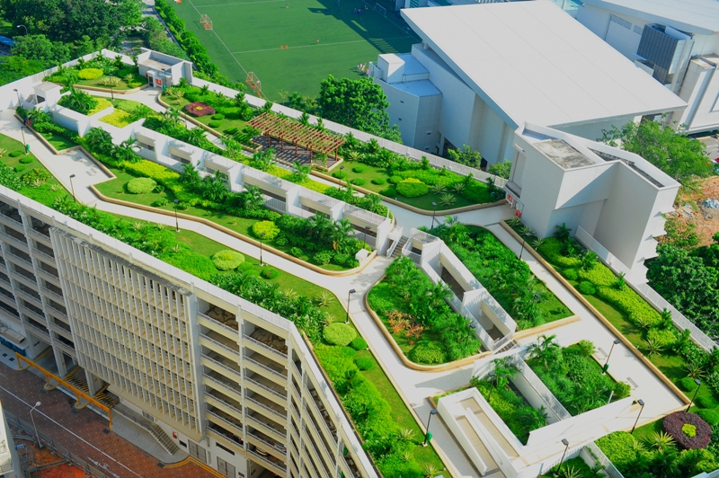 More urban farms and rooftop gardens will be visible in Singapore with 'LUSH' programme.