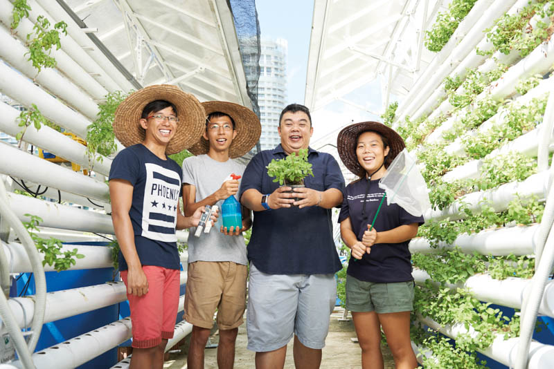 The enhanced LUSH programme will encourage more Singaporean people to take up urban farming and gardening near their offices and homes.