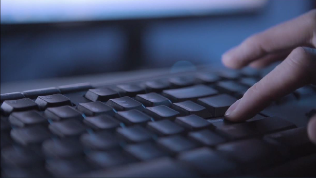The Skills Framework for ICT provides information on more than a hundred ICT job roles. 