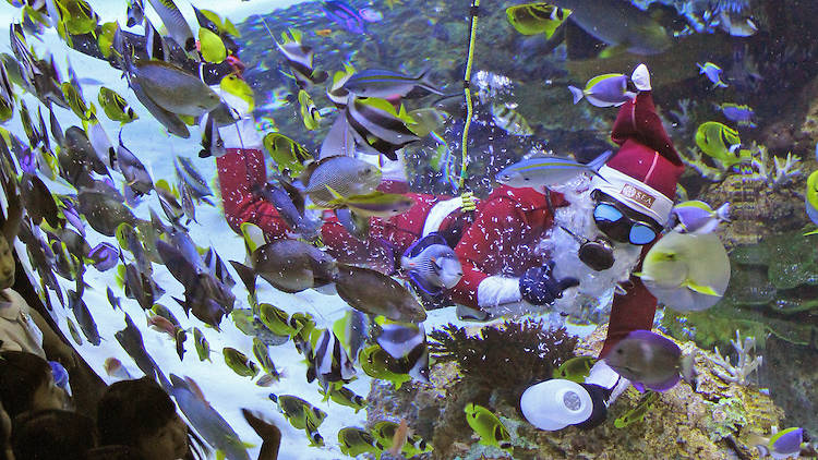Merry Fishmas