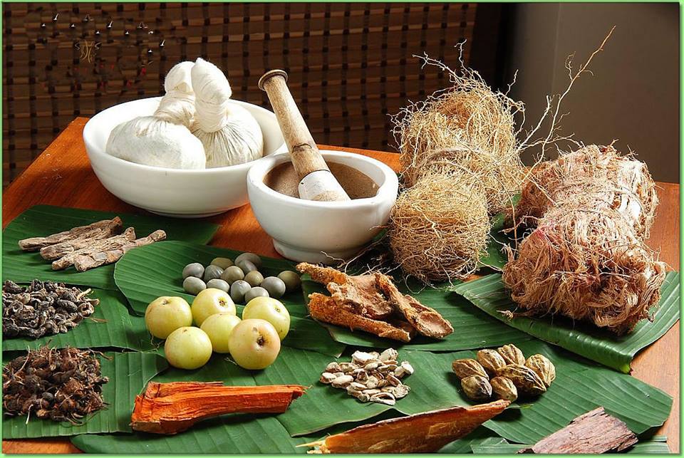 Conferences and discussions will highlight the effectiveness of Ayurveda as a treatment option.