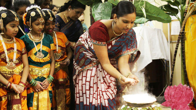 The 'pongal' dish, which is prepared as part of the festivities, is fed to the cattle and then they are taken to the village centres. 