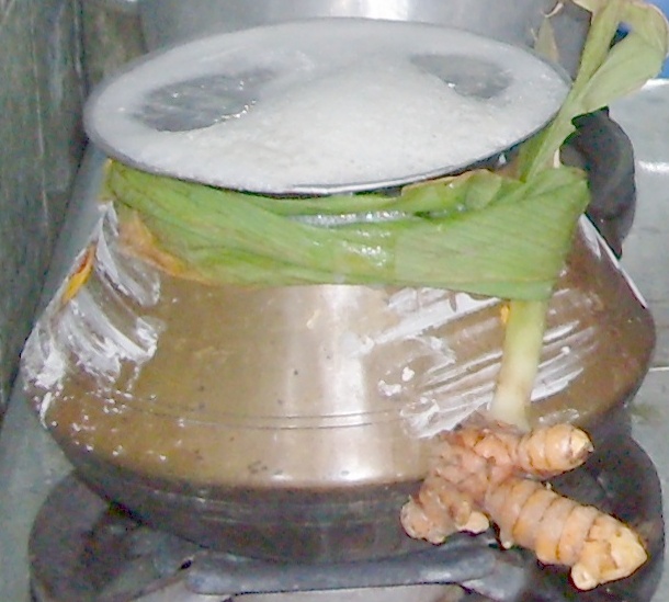 A pot of steaming rice for Pongal. 