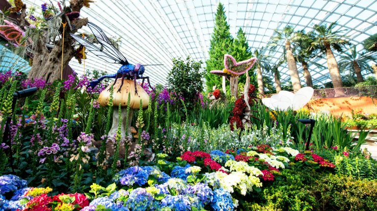 Gardens by the Bay welcomes Lunar New Year with assorted floral display. 