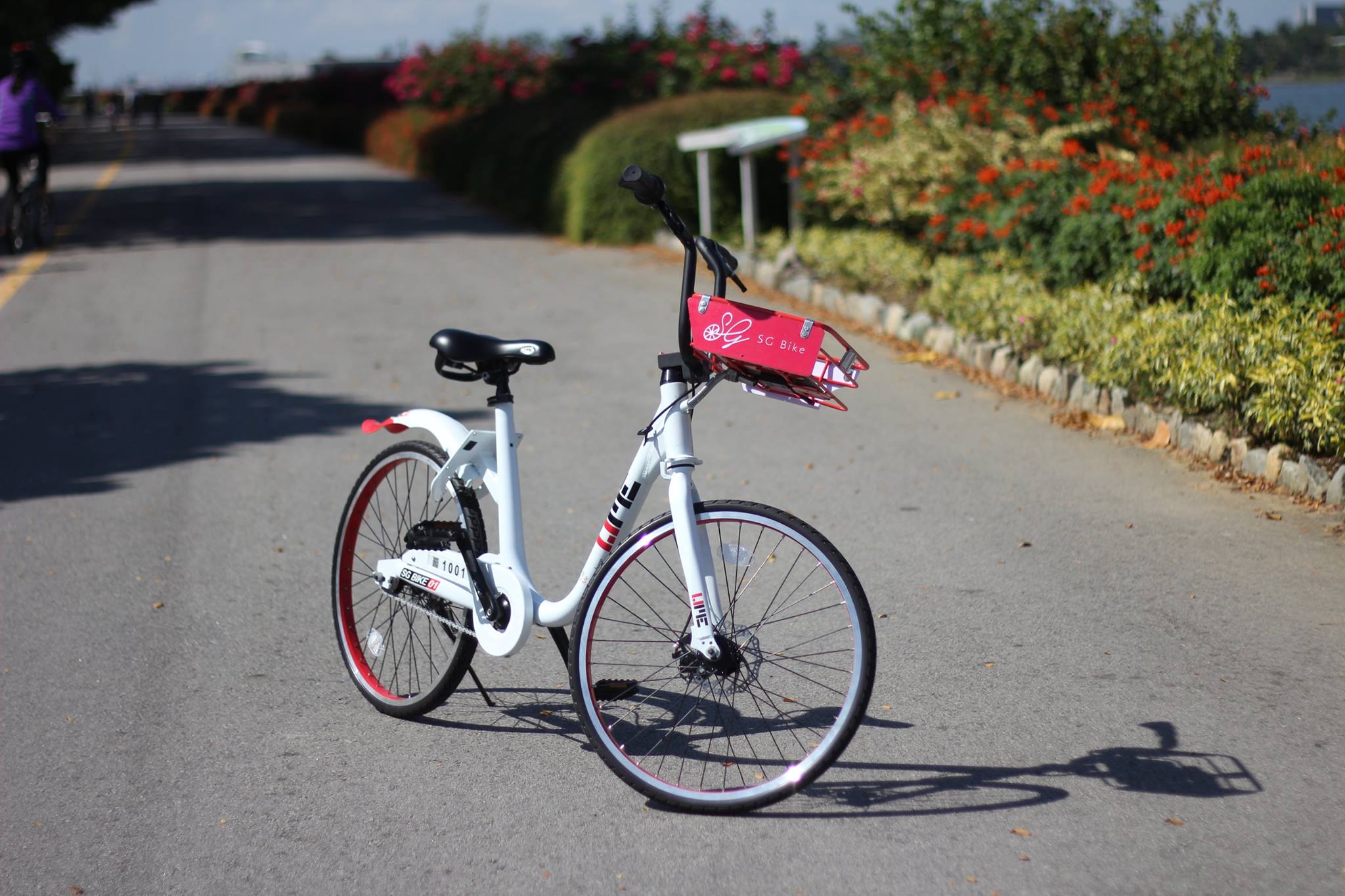 Photo courtesy: SG bike