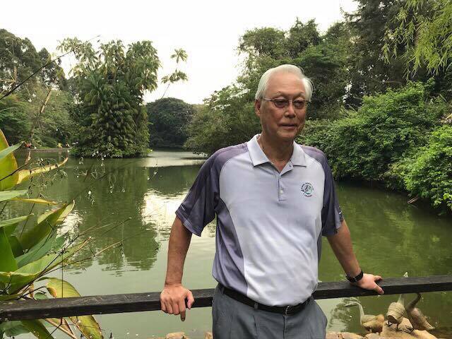 Emeritus Senior Minister Goh Chok Tong