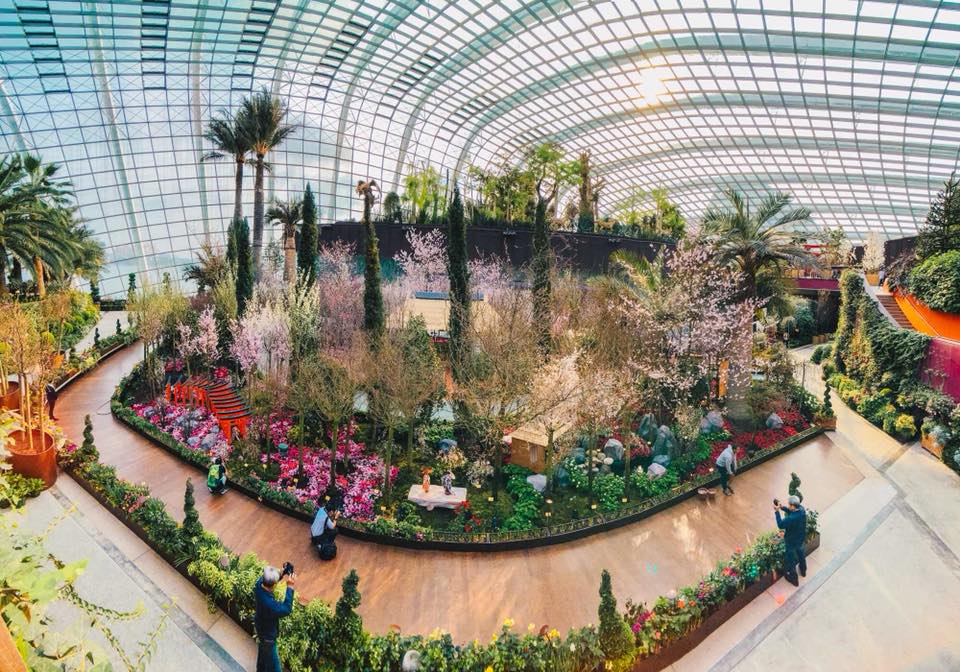 Photo courtesy: Gardens by the Bay