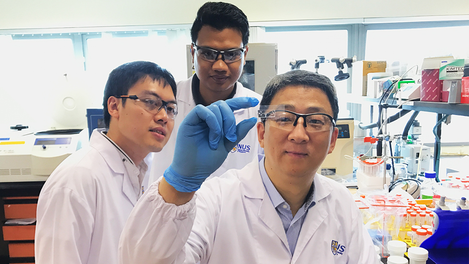 NUS Engineering researchers have developed a low-cost microfluidic chip that can quickly and accurately detect and quantify nano-bioparticles using only a standard laboratory microscope without any fluorescent labels. Photo courtesy: NUS