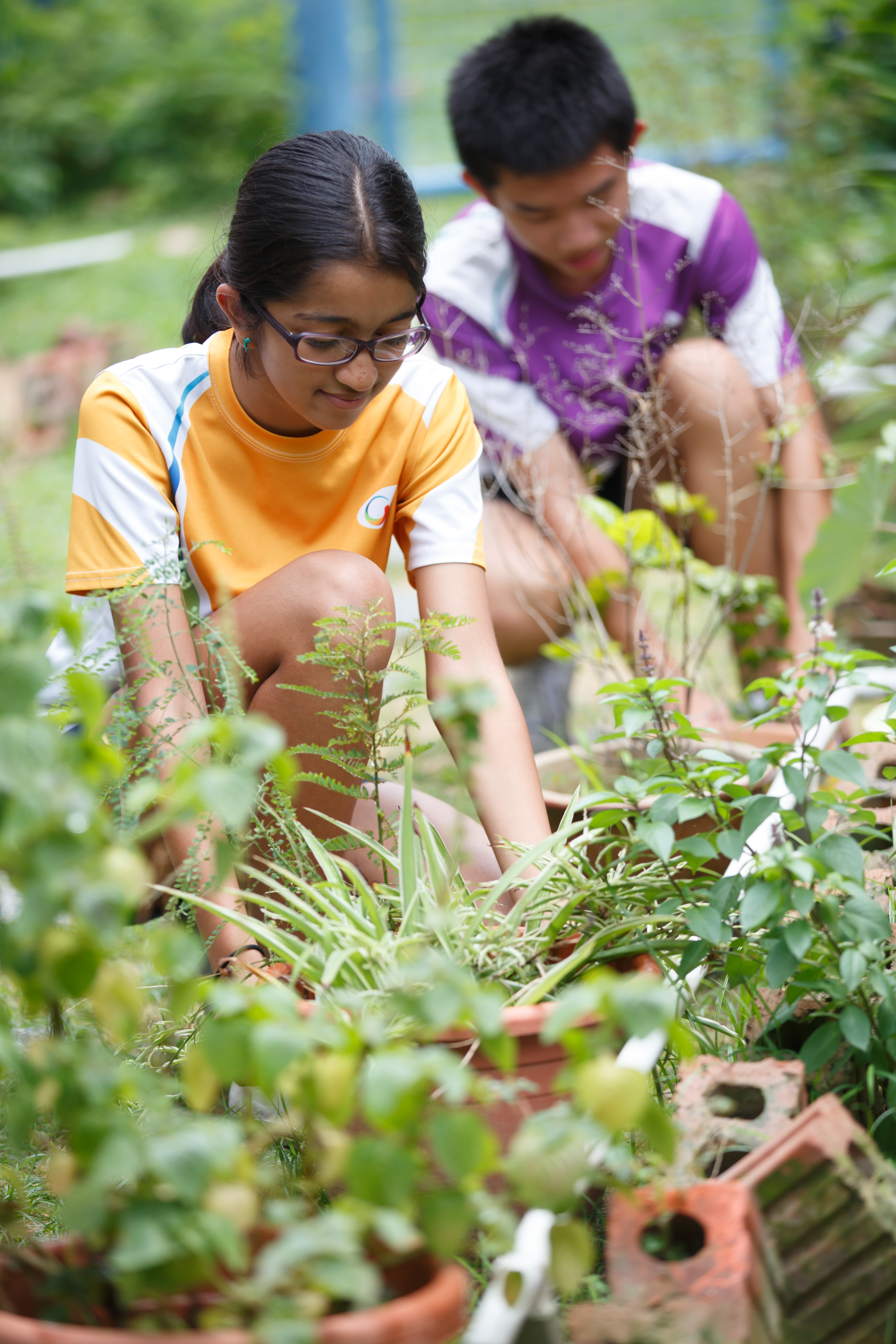 the GIIS SMART Campus has been designed and built to maximise the green footprint.