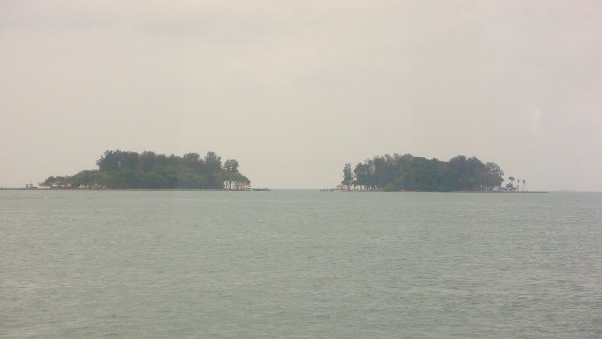 Singapore will develop largest artificial reef at Sisters’ Island to boost marine ecosystem. 