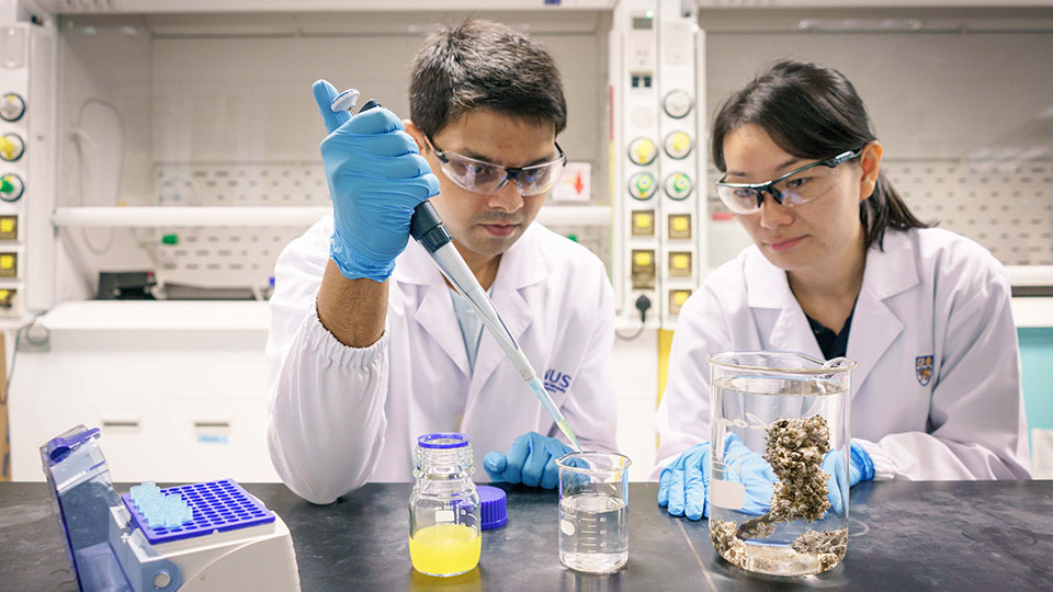 A research team from the National University of Singapore discovered that nanoplastics are easily ingested by barnacle larvae and they can accumulate in the bodies of the larvae over time. Mr Samarth Bhargava (left) and Ms Serina Lee (right) are members of the research team. Photo courtesy: NUS