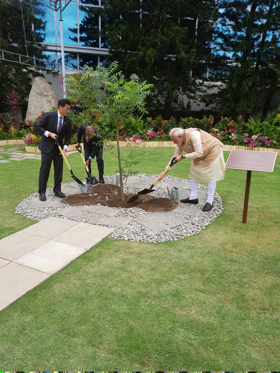  A neem tree was planted in the Nanyang Technical University campus by PM Modi, Singapore Minister of Education Ong Kung and President NTU Subra Suresh to commemorate the visit of Indian Prime Minister in the University.  