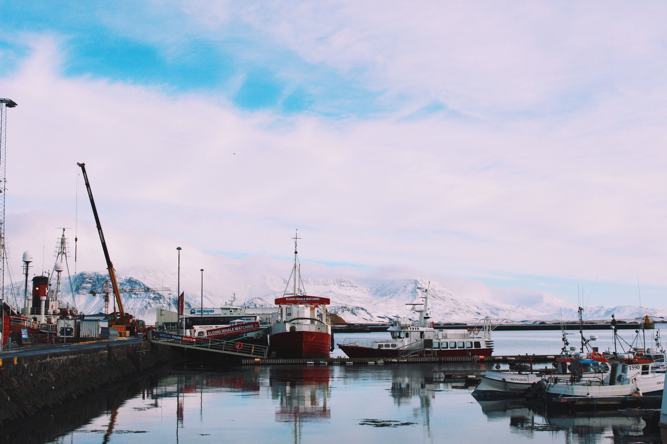 The harbour. Photo: Connected to India