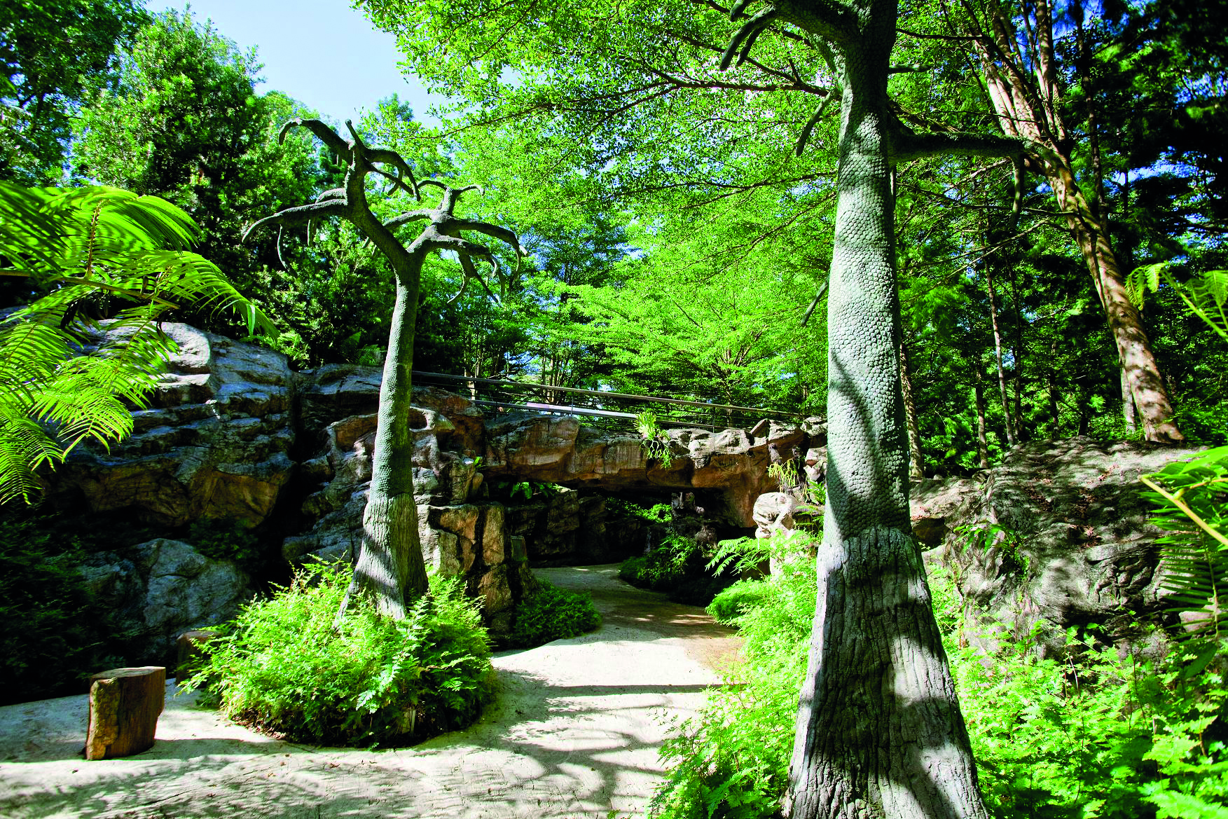 Singapore Botanic Gardens possess an array of botanical and horticultural attractions with a rich history and a wonderful plant collection of worldwide significance. Photo courtesy: nparks.gov.sg 