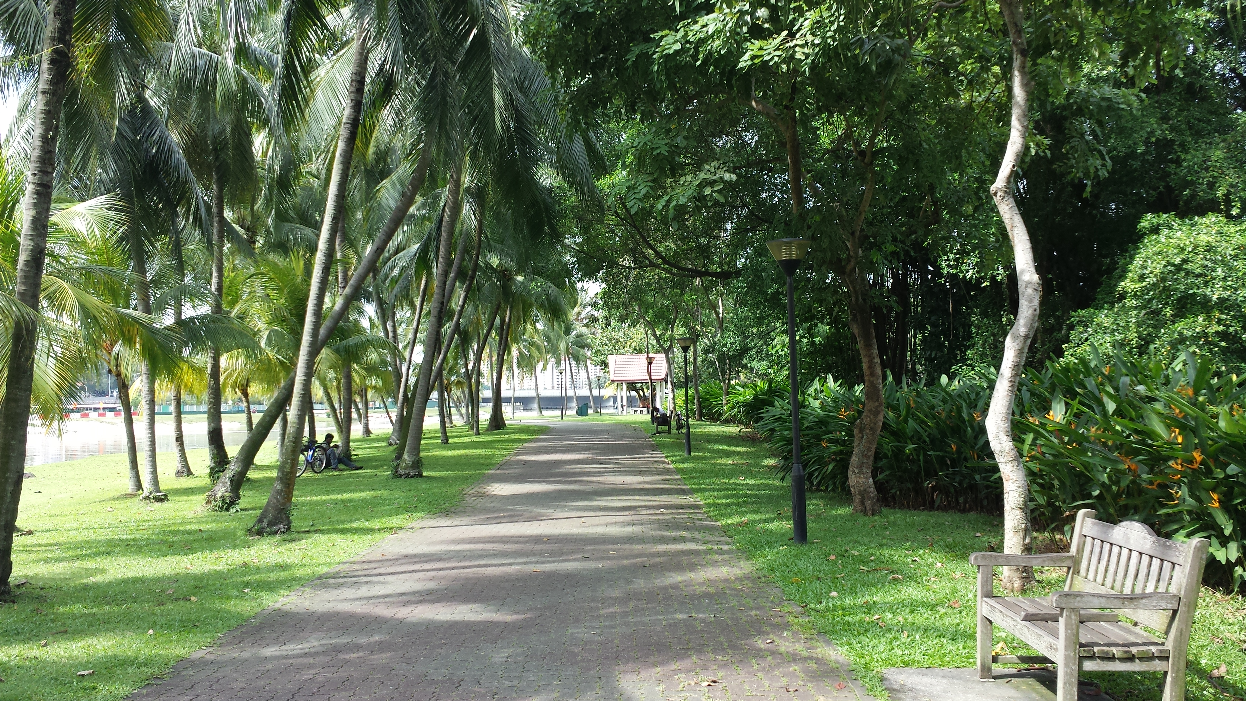 NParks is responsible for the inspection and management of about 2 million trees in Singapore. Photo courtesy: nparks.gov.sg
