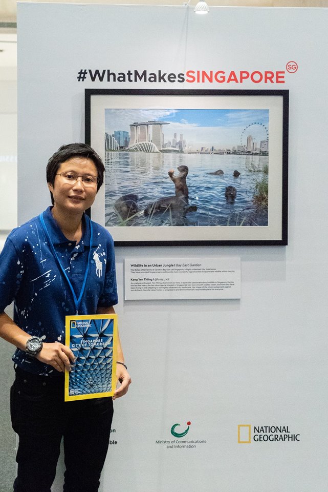 Kang Yen Thiing was grand prize winner of the photography contest. His winning photo reflects how Singapore’s smooth-coated otters have been living in and adapting to the highly urbanised city landscape of Singapore. Photo courtesy: Facebook page of Singapore's government 