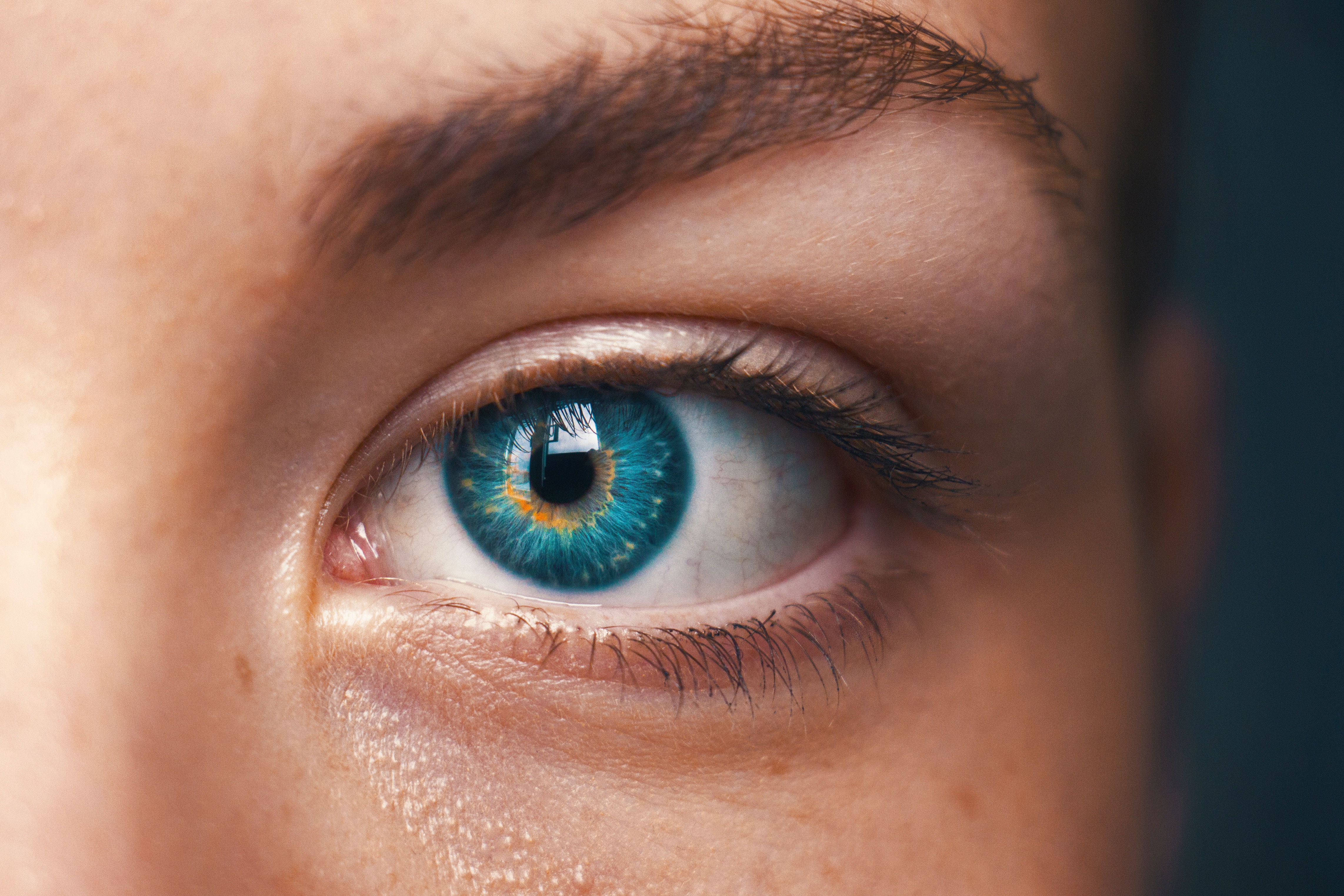 Photo courtesy: Amanda Dalbjörn via unsplash