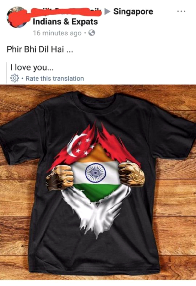 Many netizens deemed it offensive, saying the image was disrespectful to Singapore