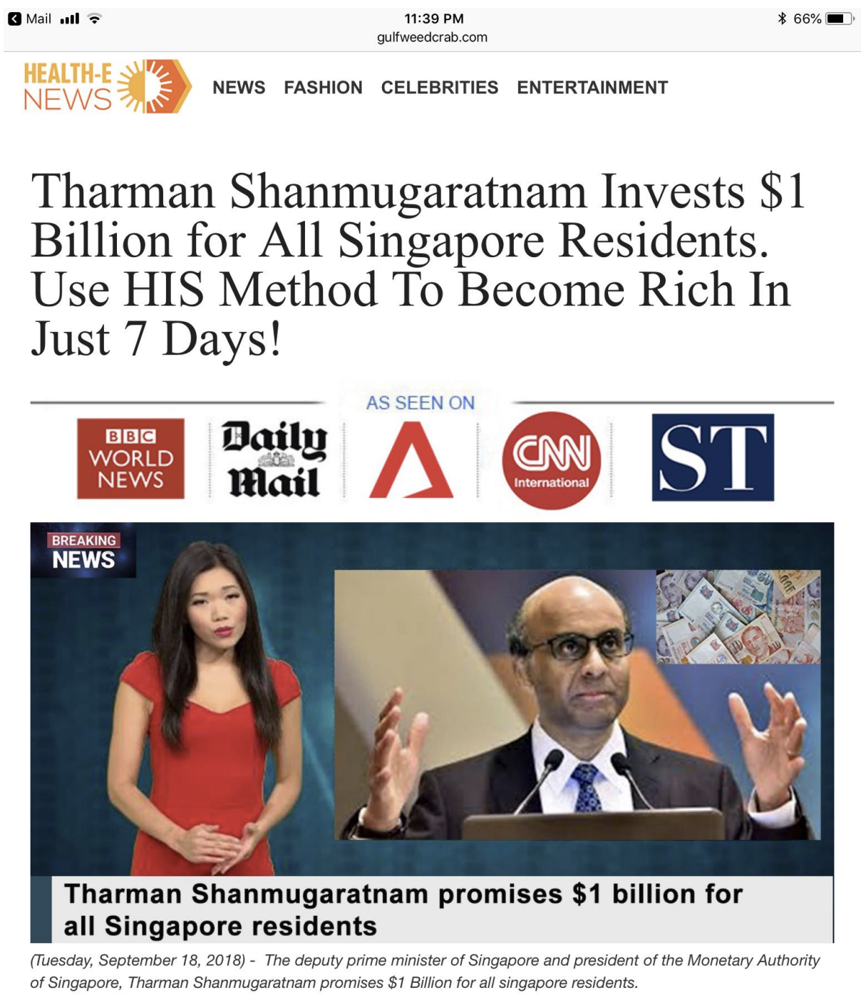 Screenshot of the fraudulent site. Photo courtesy: MAS
