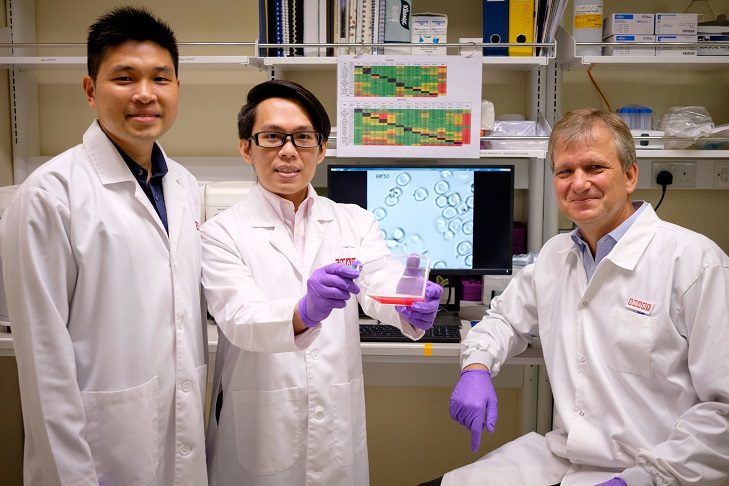 Scientists from a joint research team have found a potential treatment for severe malaria. Photo courtesy: NTU