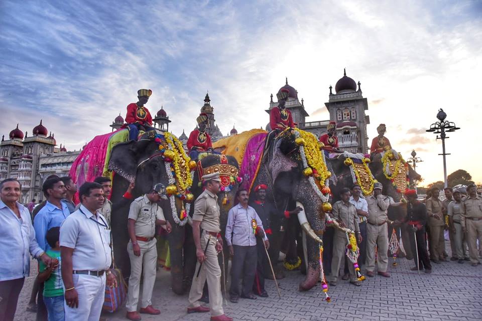 Elephants form an integral part of the procession giving a peep into the pompness and glory of Mysuru's Dasera. Photo courtesy: karnatakatourism.org
