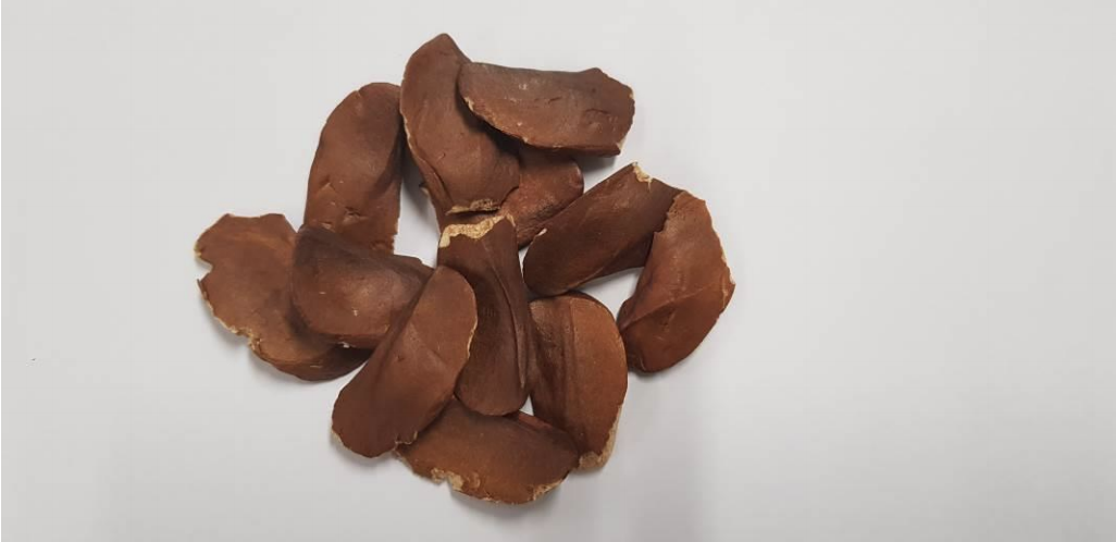 Raw mahogany seeds. Photo courtesy: HSA