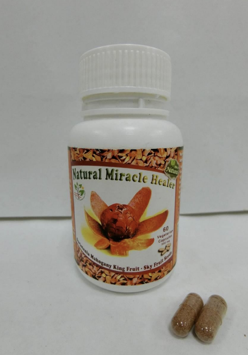 ‘Natural Miracle Healer’ – mahogany seed capsules. Photo courtesy: HSA