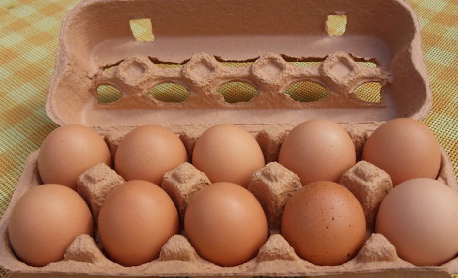 Last year, egg imports from Malaysia made up 73 per cent of Singapore's egg consumption. Photo courtesy: Wikipedia
