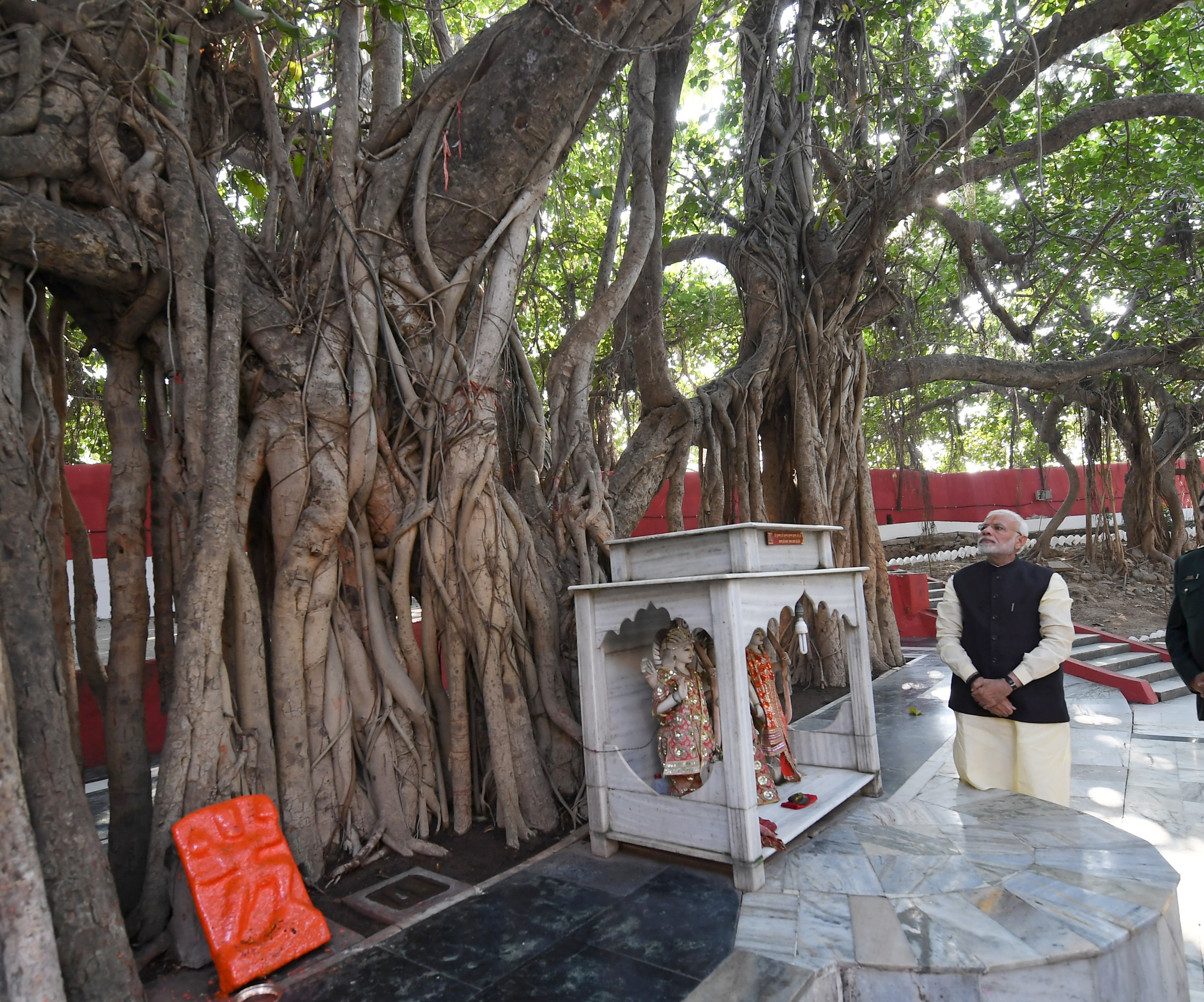 Prime Minister Narendra Modi admiring an ancient tree at Akshayvat, at Prayagraj, in Uttar Pradesh.  (Photo courtesy: PMO