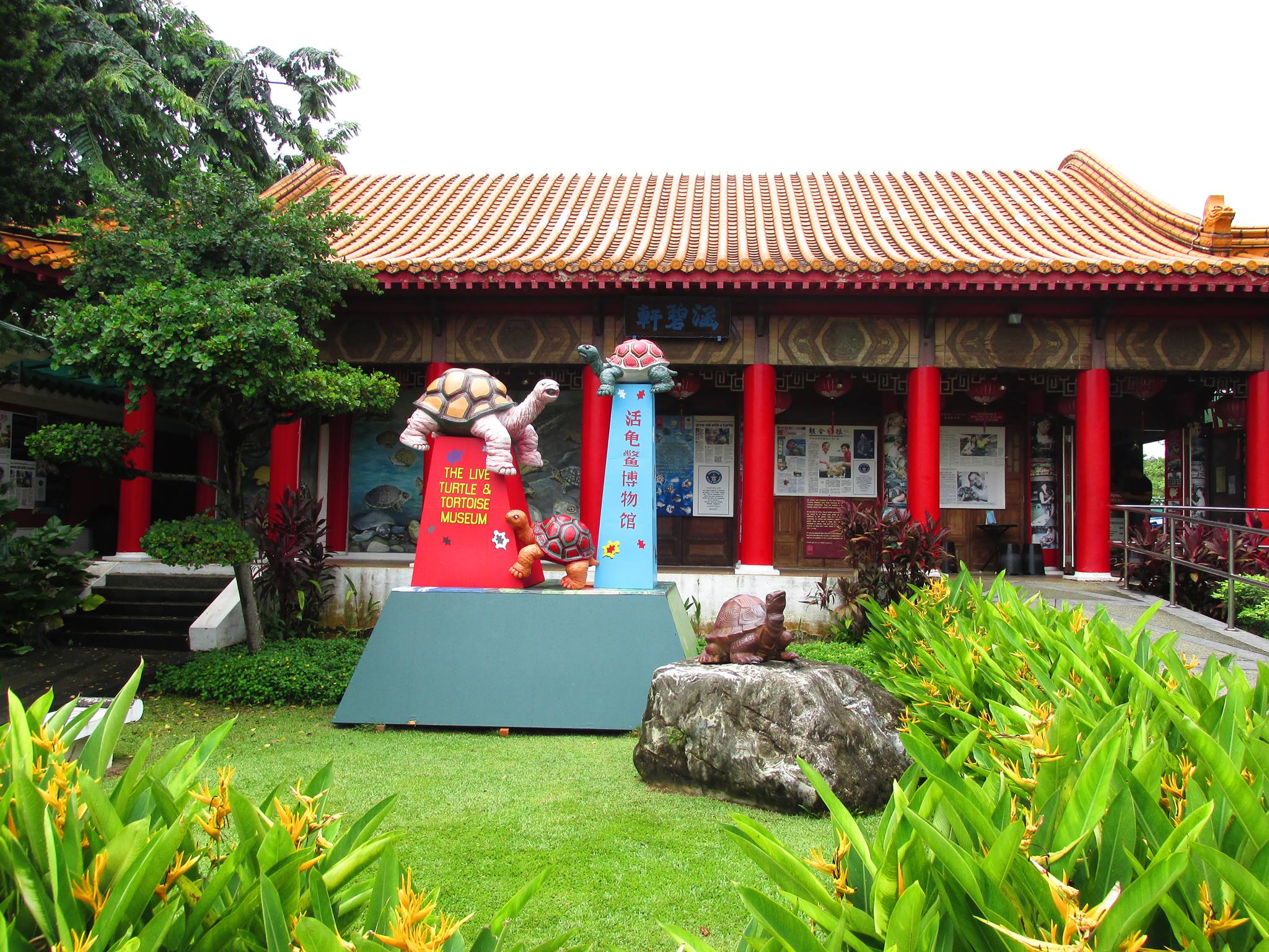 'The Live Turtle and Tortoise Museum' at the Chinese Garden will be relocating to the ORTO leisure park in Yishun in 2019. Photo courtesy: Facebook page of Live Turtle and Tortoise Museum. 