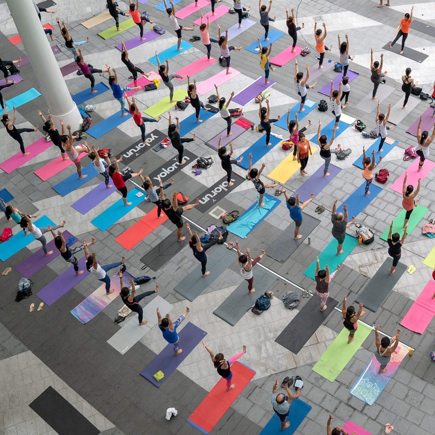 Photo courtesy: Platinum Yoga