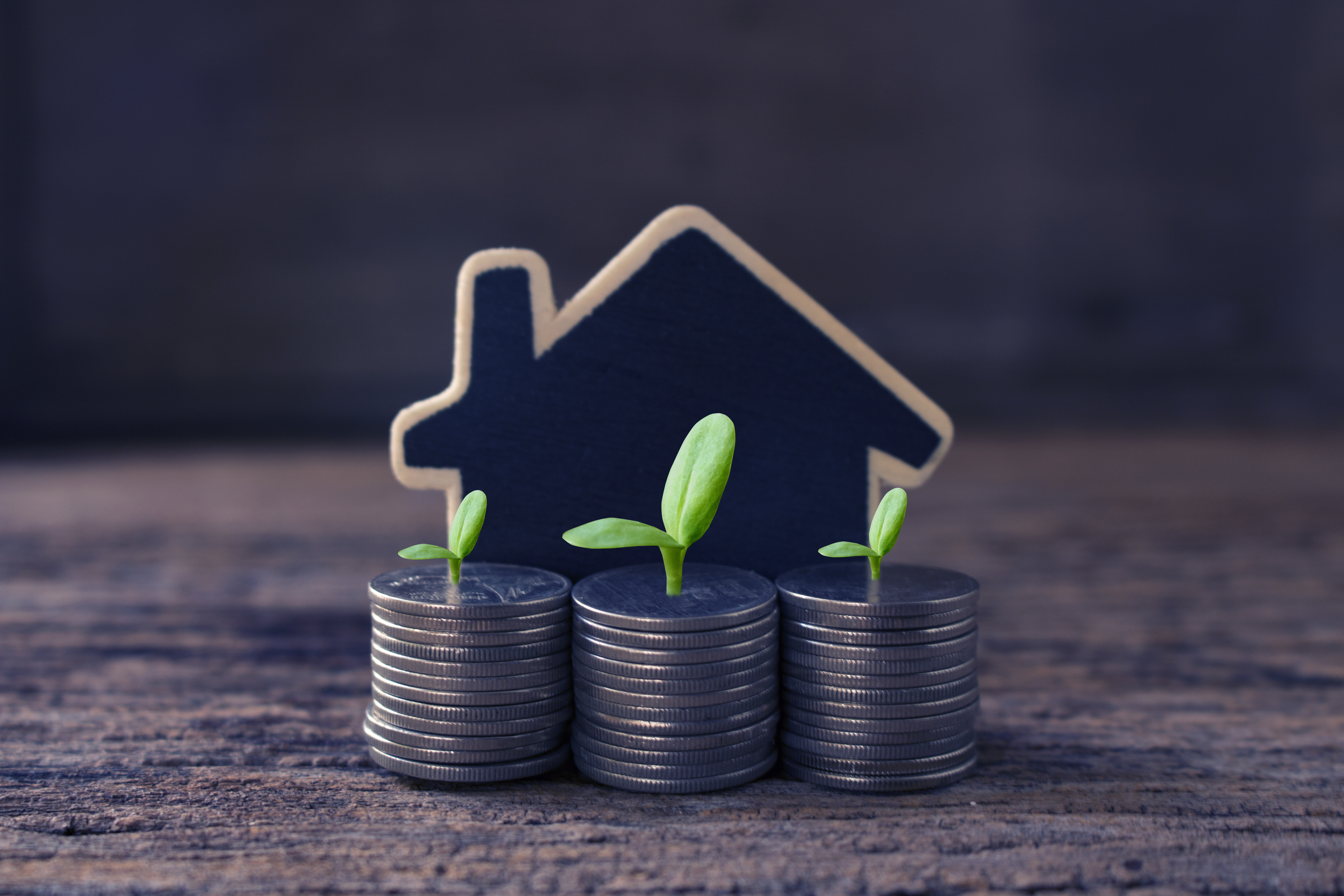 NRIs need to keep a close eye on the best possible investment opportunities available in India. 