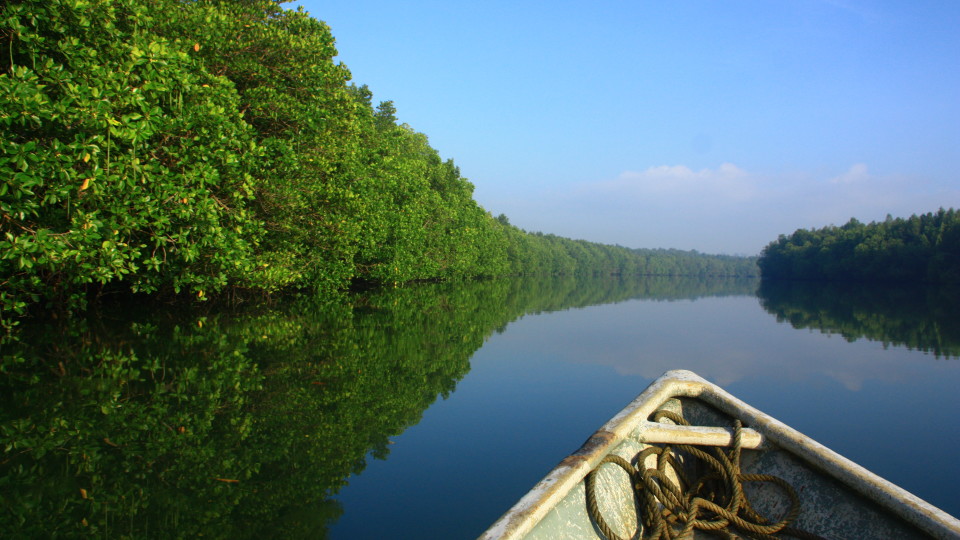Linting Wetlands, a river ecosystem that is dominated by tidal mangrove forests, is situated at the south-east corner in the state of Johor, Malaysia. Photo courtesy: malaysia.wetlands.org