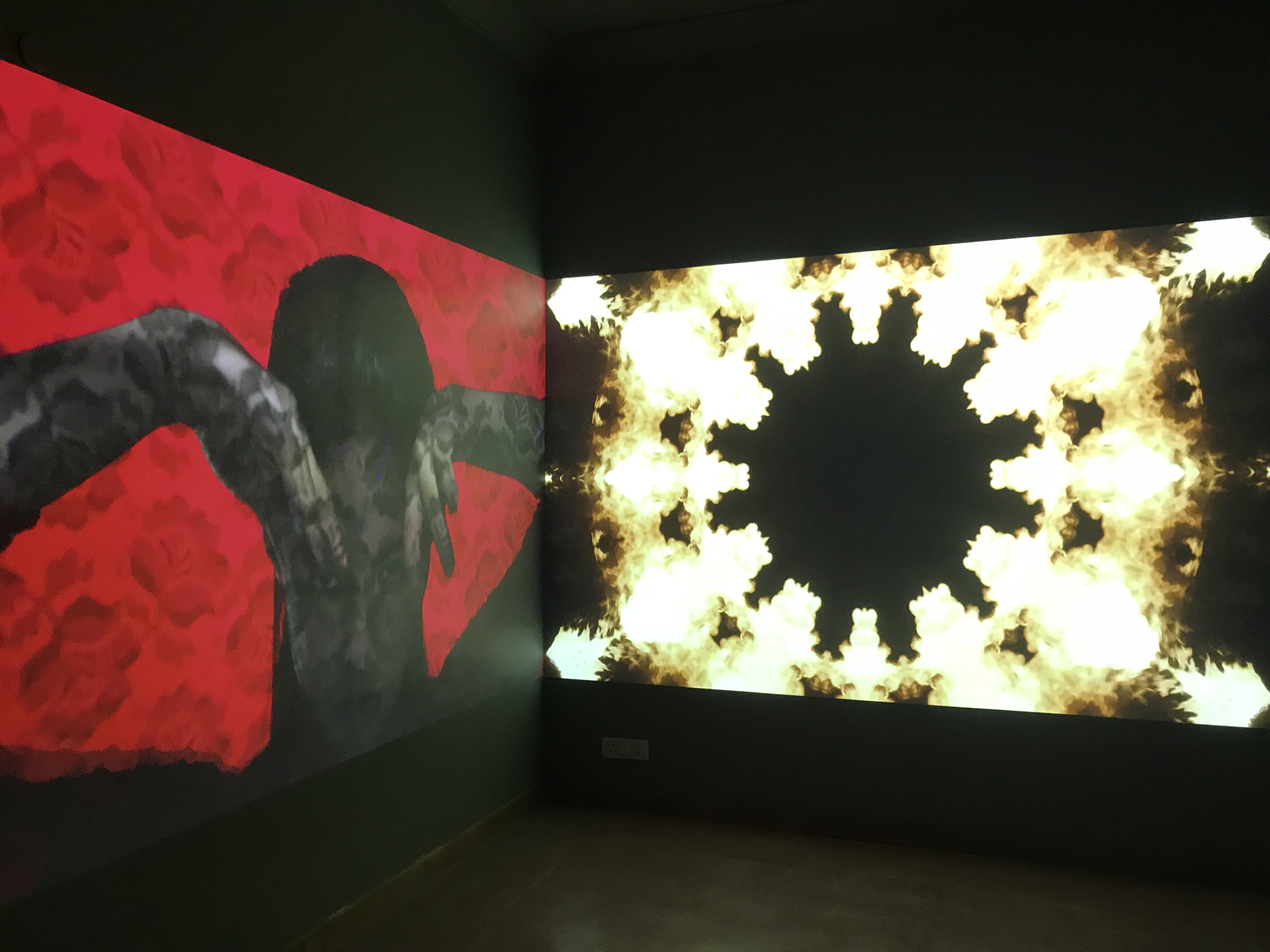 Angie Seah's video art blooming during the Atypical Singapore exhibit at Kona in Jor Bagh. Photo: Connected to India